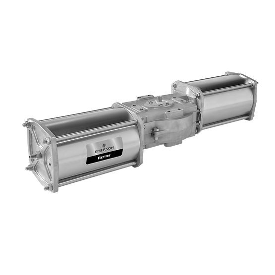 bettis rgs f-series rack and pinion pneumatic valve actuator 01.png